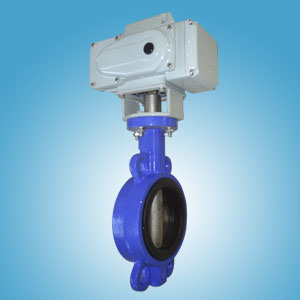 늄�Ó����y